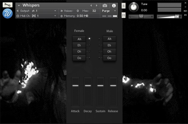 wf whisper gui