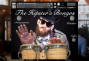 喋るし動くし凄いキモい、無料のボンゴKontaktライブラリ『The Hipsters Bongos』