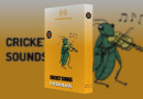 コオロギの鳴き声を収録した無料サンプルパック『Cricket Sounds Pack』