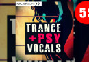 【終了】トランス向けボーカルサンプルパック『Trance & Psy Vocals』(通常$19.90)が期間限定で$5で購入可能！