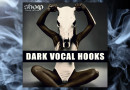 ダークな雰囲気のボーカルのワンショット・ループが収録されたサンプルパック『Dark Vocal Hooks』